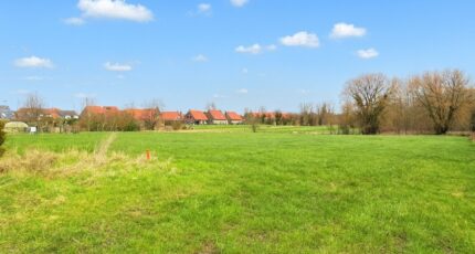 Tourmignies Terrain à bâtir - 2323261-10063annonce1202510303ZkoK.jpeg Maisons Open