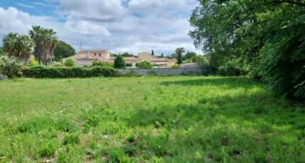 Puget-sur-Argens Terrain à bâtir - 2299529-11157annonce1202510099TQPQ.jpeg Maisons Open