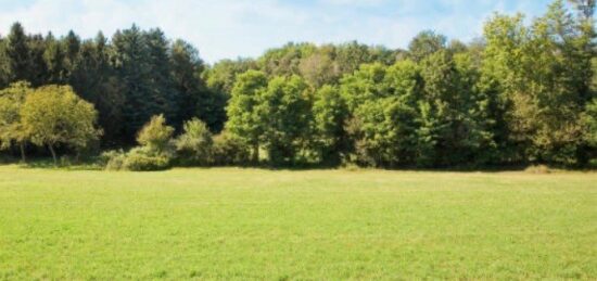 Terrain à bâtir à Franconville, Île-de-France