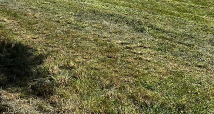 Saint-Sulpice-de-Cognac Terrain à bâtir - 2363328-10974annonce120251210bmKEa.jpeg Maisons Open