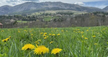 Gap Terrain à bâtir - 2362990-3921annonce1202512100dQW0.jpeg Maisons Open