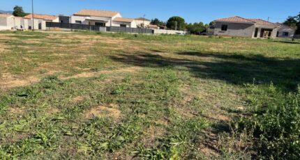 Allan Terrain à bâtir - 2318483-6150annonce320251026bJLfL.jpeg Maisons Open