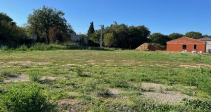 Allan Terrain à bâtir - 2318483-6150annonce520251026p74e8.jpeg Maisons Open