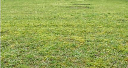 Passais Terrain à bâtir - 2348815-1153annonce12025112536f2d.jpeg Maisons Open