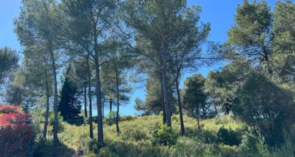 Grabels Terrain à bâtir - 2363535-10896annonce220251210Zwx5W.jpeg Maisons Open