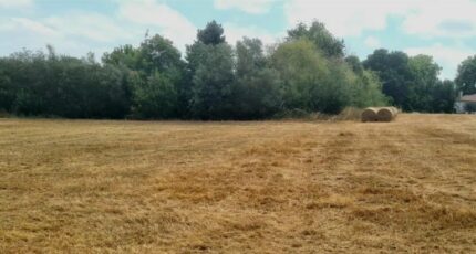 Goyrans Terrain à bâtir - 2361450-10326annonce220251208UuXRp.jpeg Maisons Open