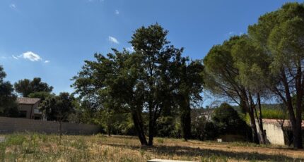 Les Matelles Terrain à bâtir - 2331354-11455annonce120251107CsSBN.jpeg Maisons Open