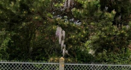 Antony Terrain à bâtir - 2319359-11148annonce120251027ovXsQ.jpeg Maisons Open