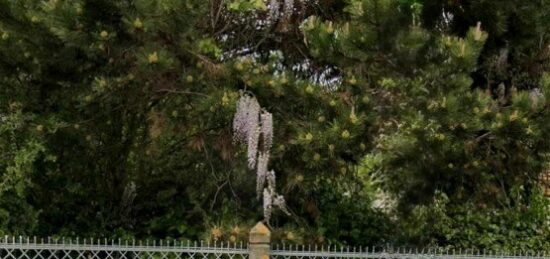 Terrain à bâtir à Antony, Île-de-France
