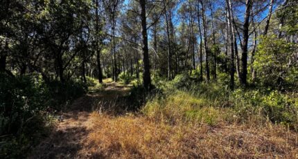 Fréjus Terrain à bâtir - 2333019-3701annonce1202511084newD.jpeg Maisons Open