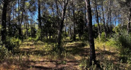 Fréjus Terrain à bâtir - 2333019-3701annonce220251108s2lwH.jpeg Maisons Open