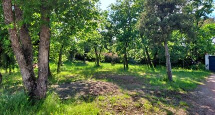 Le Cannet-des-Maures Terrain à bâtir - 2365027-11137annonce320250430Gdarm.jpeg Maisons Open