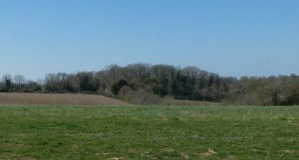 Manerbe Terrain à bâtir - 2303669-11563annonce220251013lASrN.jpeg Maisons Open