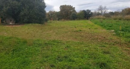 Le Bosc Terrain à bâtir - 2366525-11507annonce120251212QEIlw.jpeg Maisons Open