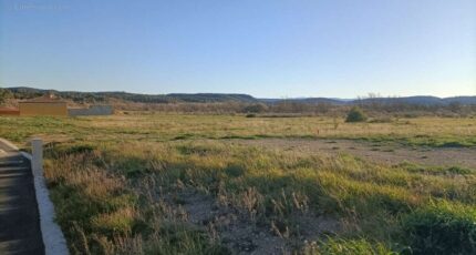 Ferrals-les-Corbières Terrain à bâtir - 2366466-11456annonce220250821bTEer.jpeg Maisons Open