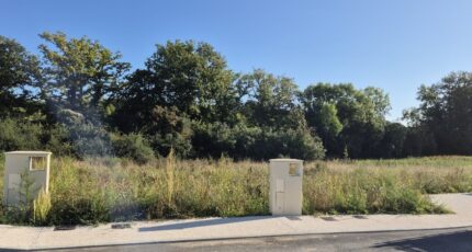 Pecqueuse Terrain à bâtir - 2367335-10686annonce120251212T1dTs.jpeg Maisons Open