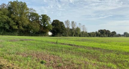 Neuville-Saint-Vaast Terrain à bâtir - 2304161-5719annonce220251013amWqx.jpeg Maisons Open