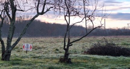 Fontenilles Terrain à bâtir - 2300714-9555annonce120251010McX8P.jpeg Maisons Open