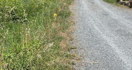 Arthès Terrain à bâtir - 2301698-2684annonce320251010TIsgi.jpeg Maisons Open