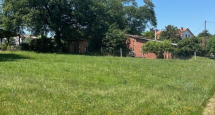 Albi Terrain à bâtir - 2303171-2684annonce120251013JaonU.jpeg Maisons Open