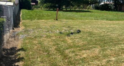 Albi Terrain à bâtir - 2303171-2684annonce320251013I9Ker.jpeg Maisons Open