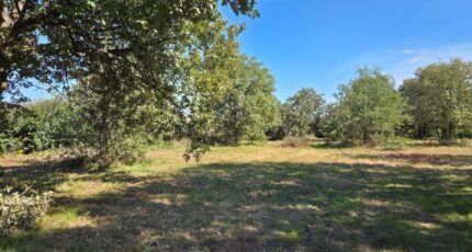 Seysses Terrain à bâtir - 2301811-10326annonce1202510104eG82.jpeg Maisons Open