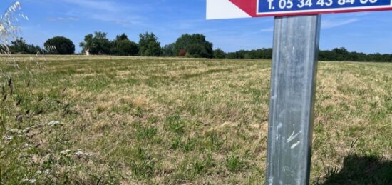 Terrain à bâtir à Vacquiers, Occitanie