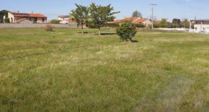 Pins-Justaret Terrain à bâtir - 2305152-10326annonce220251014H71r5.jpeg Maisons Open