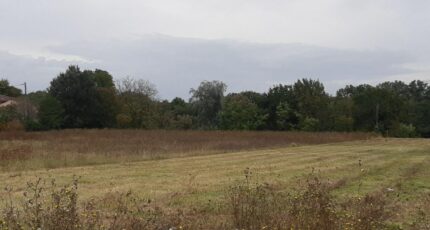 Montjoire Terrain à bâtir - 2366965-5202annonce320251212Kbzue.jpeg Maisons Open