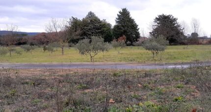 Brignoles Terrain à bâtir - 2368647-10744annonce420251215W1fIR.jpeg Maisons Open