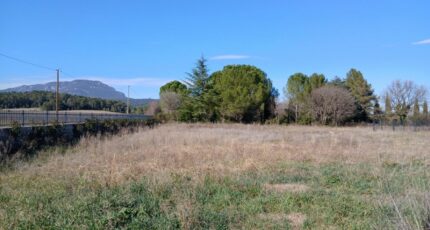 Le Triadou Terrain à bâtir - 2368859-11040annonce1202512156O55q.jpeg Maisons Open