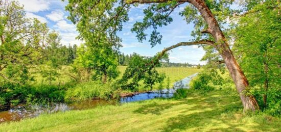 Terrain à bâtir à Sainte-Maure-de-Touraine, Centre-Val de Loire