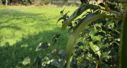 Lauris Terrain à bâtir - 2308258-11669annonce320251016VRg5D.jpeg Maisons Open