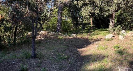 Sausset-les-Pins Terrain à bâtir - 2312197-11669annonce320251021AStJD.jpeg Maisons Open