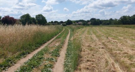 Bérat Terrain à bâtir - 2370243-10326annonce120251216XdCmx.jpeg Maisons Open