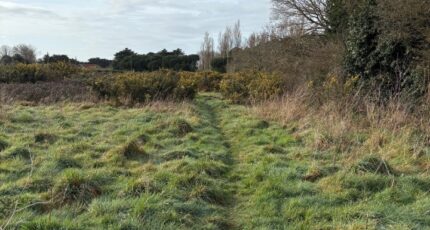 Saint-Étienne-de-Mer-Morte Terrain à bâtir - 2310812-11110annonce2202512177zZAE.jpeg Maisons Open