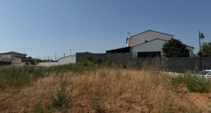 Pomérols Terrain à bâtir - 2307347-11455annonce120250625P3PkX.jpeg Maisons Open