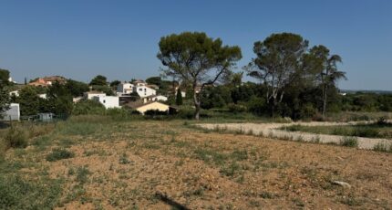 Mus Terrain à bâtir - 2307465-11455annonce120250619AalEW.jpeg Maisons Open