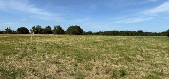 Terrain à bâtir à Vacquiers, Occitanie