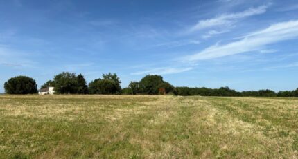 Vacquiers Terrain à bâtir - 2375218-11356annonce220251223vyRwn.jpeg Maisons Open