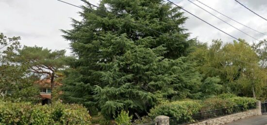 Terrain à bâtir à , Essonne