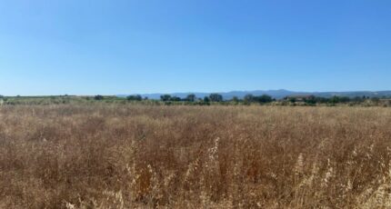 Olonzac Terrain à bâtir - 2376007-3971annonce120260115zJNVZ.jpeg Maisons Open