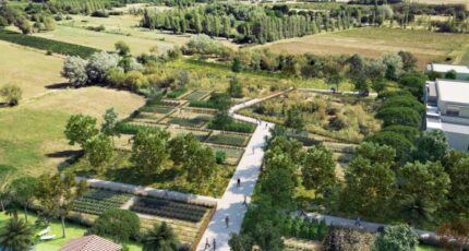 Coursan Terrain à bâtir - 2376061-3971annonce220240912eWAZm.jpeg Maisons Open