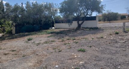 Cournonterral Terrain à bâtir - 2318265-11040annonce120251026y3US8.jpeg Maisons Open