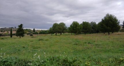 Canet Terrain à bâtir - 2318261-11040annonce1202510265v5eI.jpeg Maisons Open