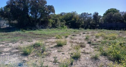 Vic-la-Gardiole Terrain à bâtir - 2318289-11040annonce120251026mLp9R.jpeg Maisons Open