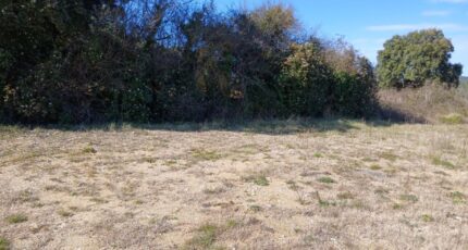 Sainte-Croix-de-Quintillargues Terrain à bâtir - 2318303-11040annonce120251026blGSr.jpeg Maisons Open