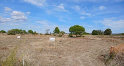 Guzargues Terrain à bâtir - 2318502-11040annonce120251027cSB9i.jpeg Maisons Open