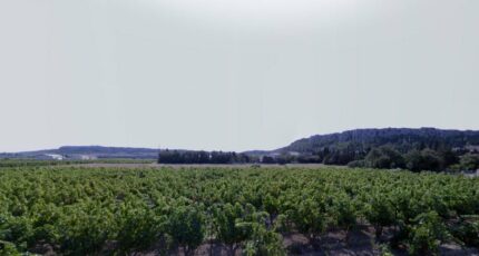 Roquefort-des-Corbières Terrain à bâtir - 2375454-692annonce120251223ggZy8.jpeg Maisons Open