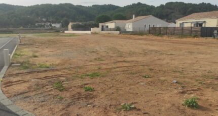 Cessenon-sur-Orb Terrain à bâtir - 2377213-11018annonce120250908xVVhf.jpeg Maisons Open